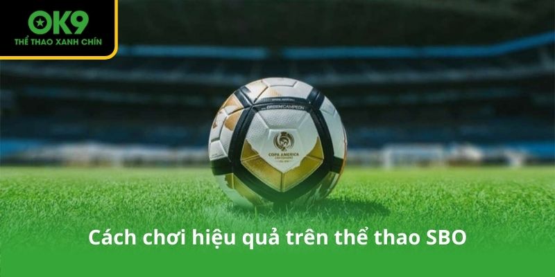 Cách chơi hiệu quả trên thể thao SBO