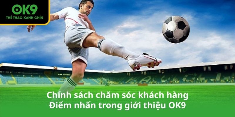 Điểm nhấn trong giới thiệu OK9