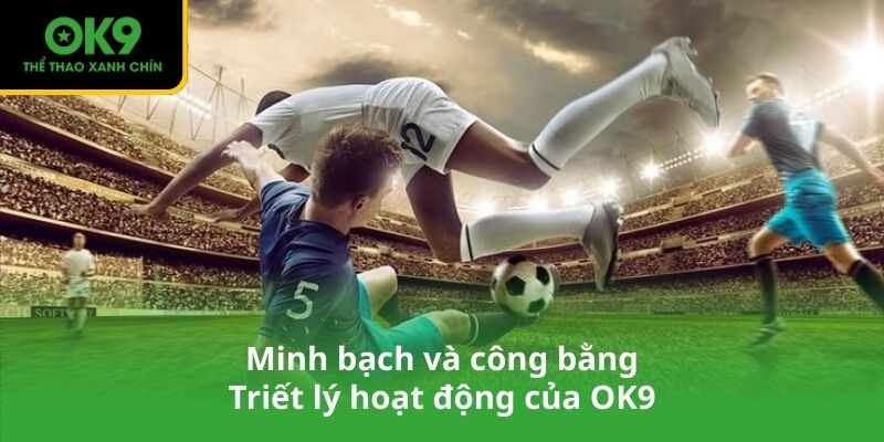 Minh bạch và công bằng – Triết lý hoạt động của OK9