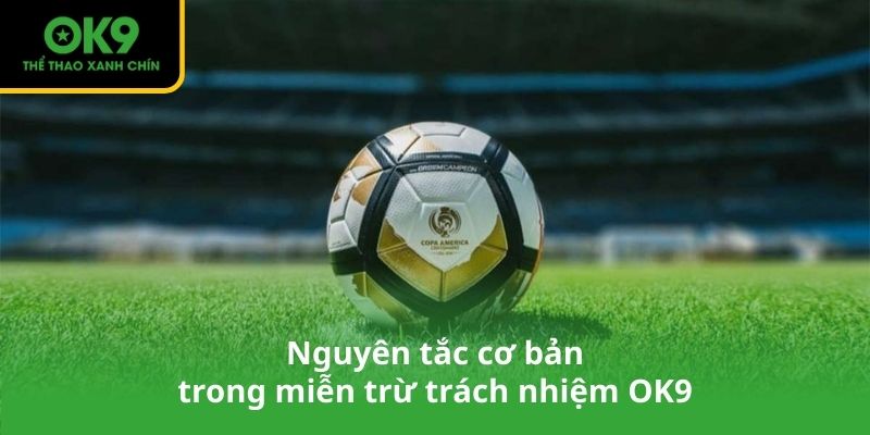 Nguyên tắc cơ bản trong miễn trừ trách nhiệm OK9