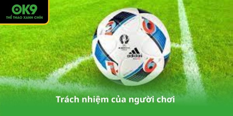 Trách nhiệm của người chơi trong việc tuân thủ chính sách bảo mật OK9